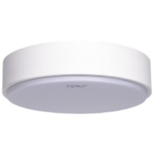 Aigostar - LED Ceiling light LED/12W/230V 3000K d. 23 cm white