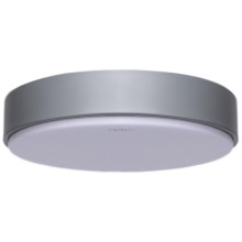 Aigostar - LED Ceiling light LED/20W/230V 4000K d. 30 cm grey