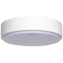 Aigostar - LED Ceiling light LED/20W/230V 6500K d. 30 cm white