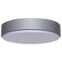 Aigostar - LED Ceiling light LED/20W/230V 6500K grey
