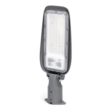 Aigostar - LED Street lamp LED/50W/230V 6500K IP65