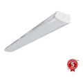 APLED - LED Surface-mounted light TROUT LED/36W/230V 4000K