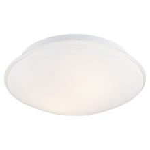 Argon 0694 - Ceiling light GIN 2xE27/15W/230V white