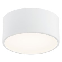 Argon 3885 - LED Ceiling light VICHY LED/13,5W/230V white