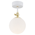 Argon 4002 - Bathroom surface-mounted chandelier LATINA 1xE14/7W/230V IP44 white/golden