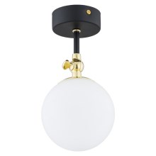 Argon 4003 - Bathroom attached chandelier LATINA 1xE14/7W/230V IP44 black/brass