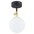 Argon 4003 - Bathroom surface-mounted chandelier LATINA 1xE14/7W/230V IP44 black/brass