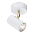 Argon 4209 - Ceiling spotlight LAGOS 1xGU10/5W/230V white/gold