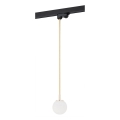 Argon 4308 - Chandelier on a pole to the rail system BANG 1xG9/6W/230V brass