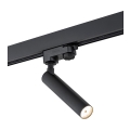 Argon 4355 - LED Spotlight for a rail system ELBRUS LED/4,5W/230V black