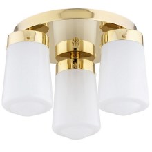 Argon 6165 - Surface-mounted chandelier PASADENA 3xE27/15W/230V gold/white