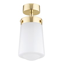 Argon 8005 - Surface-mounted chandelier PASADENA 1xE27/15W/230V gold/white