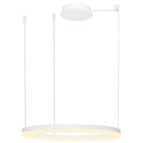 Azzardo AZ4959 - LED Dimmable chandelier on a string HALO LED/56W/230V d. 80 cm white