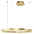 Azzardo AZ4961 -LED Dimmable chandelier on a string HALO LED/56W/230V d. 80 cm gold