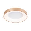 Azzardo AZ4988 - LED Ceiling light SANTANA LED/30W/230V gold