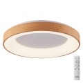 Azzardo AZ4993 - LED Dimmable ceiling light SANTANA LED/50W/230V brown + remote control
