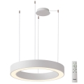 Azzardo AZ5049 - LED Dimmable chandelier on a string MARCO LED/80W/230V white + remote control