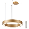 Azzardo AZ5051 - LED Dimmable chandelier on a string MARCO LED/80W/230V gold + remote control