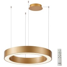 Azzardo AZ5054 - LED Dimmable chandelier on a string MARCO LED/100W/230V gold + remote control
