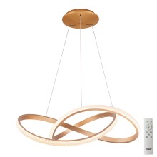 Azzardo AZ5097 - LED Dimmable chandelier on a string INFINITY LED/80W/230V gold + remote control