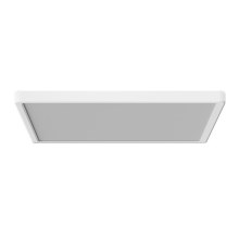Azzardo AZ5371 -LED Dimmable ceiling light PANKA LED/24W/230V IP40 white