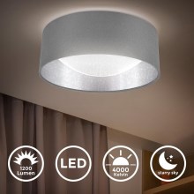 B.K. Licht 1308 - LED Ceiling light LED/12W/230V