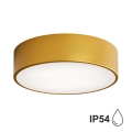 Bathroom ceiling light CLEO 2xE27/24W/230V d. 30 cm gold IP54