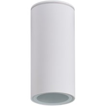 Bathroom spotlight AQILO 1xE14/10W/230V IP65 white