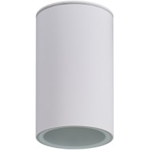 Bathroom spotlight AQILO 1xE27/20W/230V IP65 white