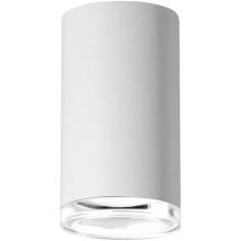 Bathroom spotlight TURYN 1xGU10/10W/230V IP44 white