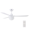 BAYSIDE 531016 - Ceiling fan MEGARA 2xE14/15W/230V white + remote control
