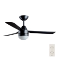 BAYSIDE 531018 - Ceiling fan MEGARA 2xE14/15W/230V black + RC