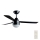 BAYSIDE 531018 - Ceiling fan MEGARA 2xE14/15W/230V black + remote control
