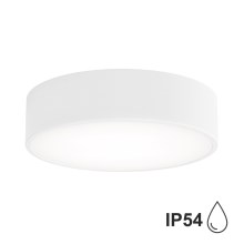 Brilagi - Bathroom ceiling light CLARE 2xE27/24W/230V d. 30 cm white IP54