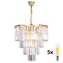 Brilagi - Crystal chandelier on a chain MOZART 5xE14/40W/230V gold