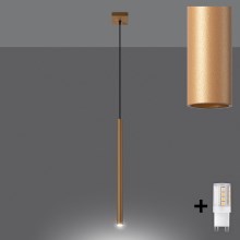 Brilagi - LED Chandelier on a string DRIFA 1xG9/4W/230V gold