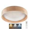 Brilagi - LED Dimmable ceiling light MANAROLA LED/24W/230V + RC 3000-6500K