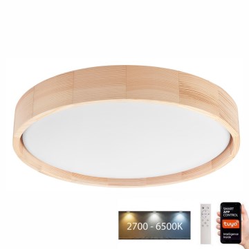 Brilagi - LED Dimmable ceiling light MANAROLA SMART LED/24W/230V 2700-6500K d. 41 cm Wi-Fi + remote control Tuya