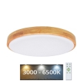 Brilagi - LED Dimmable ceiling light PINE LED/24W/230V 3000-6500K + remote control