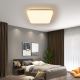Brilagi - LED Dimmable ceiling light SMART LED/28W/230V 2700-6500K Wi-Fi Tuya + remote control