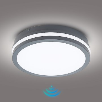 Brilagi - LED Outdoor light with sensor BENE LED/24W/230V d. 26 cm anthracite IP54