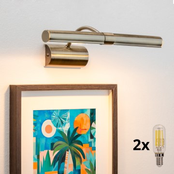 Brilagi - LED Picture light DANAE 2xE14/4W/230V 3000K bronze