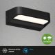 Briloner 3036-015 - LED Outdoor wall light AHLEN LED/8W/230V IP44