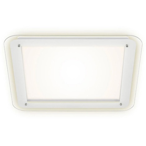 Briloner 3397-016 - LED Ceiling light FREE LED/22W/230V
