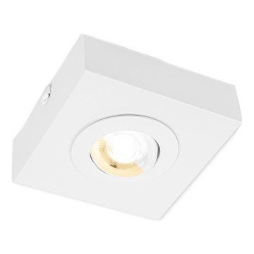 Briloner 3996016 - LED Spotlight CTS LED/4W/230V 2700/4000K white