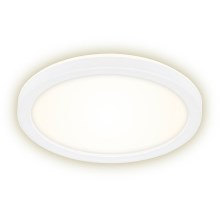 Briloner 7150-416 - LED Ceiling light SLIM LED/12W/230V d. 19 cm
