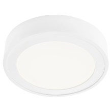 Briloner 7290-016 - LED Ceiling light UP LED/12W/230V white