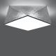 Ceiling light HEXA 2xE27/60W/230V silver