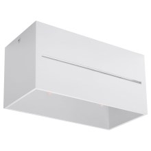 Ceiling light LOBO 2xG9/40W/230V white