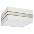 Ceiling light ULTIMO 2xE27/60W/230V white